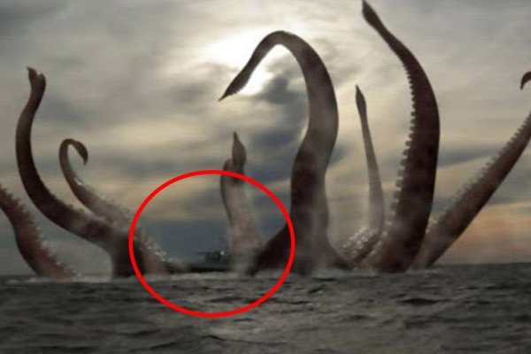 Зеркало kraken тор ссылка рабочее