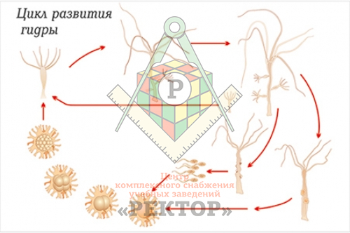 Кракен kr2web in маркетплейс